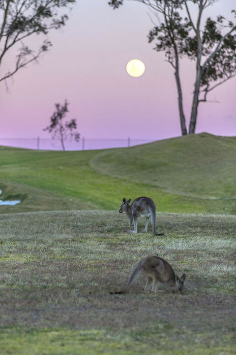 Oaks Cypress Lakes Resort - Accommodation VIC 28