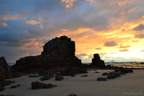 Flynns Beach Resort - Accommodation VIC 19