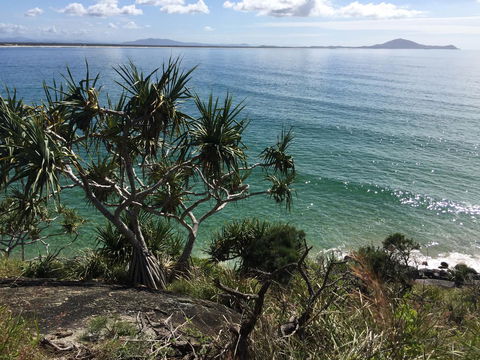 Hat Head Beach Cottage 1 - Accommodation VIC 23