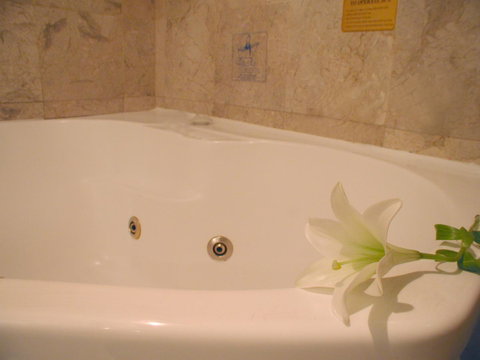 Novotel Sydney Brighton Beach - Accommodation VIC 11