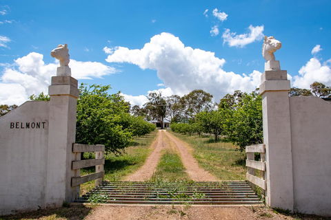 Belmont - Accommodation VIC 5