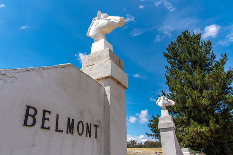 Belmont - Accommodation VIC 4