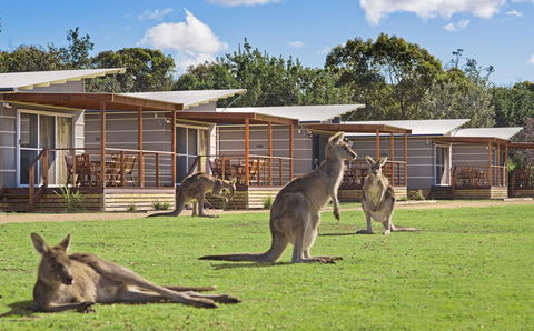 Discovery Parks - Pambula Beach - Accommodation VIC 0