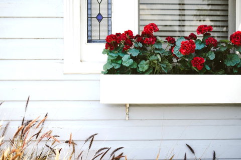Morpeth Cottage - Accommodation VIC 41