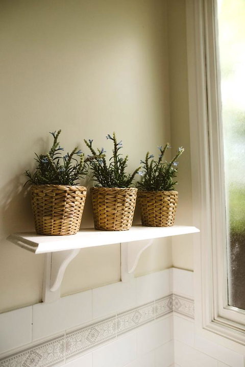 Morpeth Cottage - Accommodation VIC 31