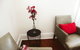 Morpeth Cottage - thumb 9
