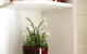 Morpeth Cottage - thumb 35