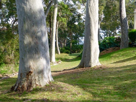 The Retreat At Palm Beach - Accommodation VIC 4