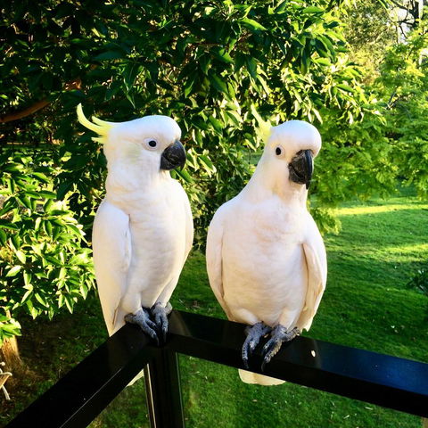 The Retreat At Palm Beach - Accommodation VIC 17