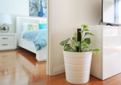 Sydney Apartment Close To Airport & CBD - Accommodation VIC 7