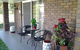 Bottlebrush B & B - thumb 1