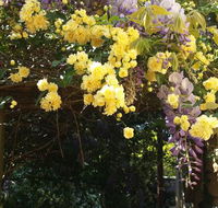 Bowral Road Bed and Breakfast - Accommodation VIC