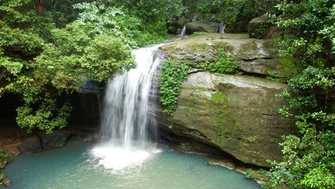 Buderim Forest Hideaway - Accommodation VIC 0