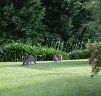 Bundanoon 2578 - Accommodation VIC