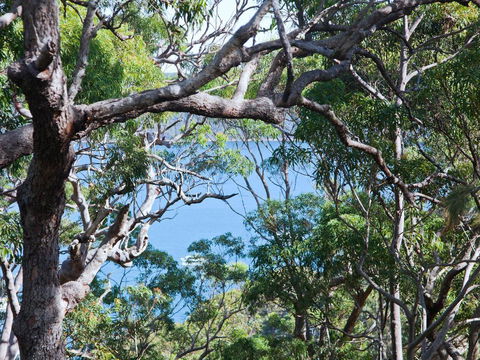Bynya - 100m To Jonahs! - Accommodation VIC 1