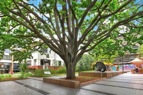 Canberra Luxury Apartment 8 - Accommodation VIC 1