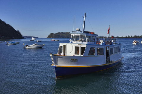 Cape Mackerel Cabin With Magic Palm Beach & Pittwater Views - Accommodation VIC 2