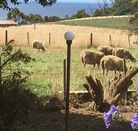 Cape View B and B - Accommodation VIC