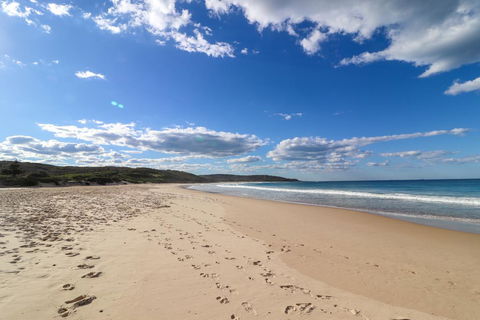 Catho Cottage - Accommodation VIC 2
