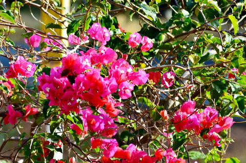 Caves Road Chalets - Accommodation VIC 1