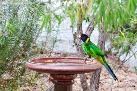 Caves Road Chalets - Accommodation VIC 0