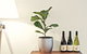 Cirillo Guest House - thumb 2