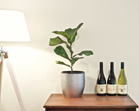 Cirillo Guest House - Accommodation VIC 2