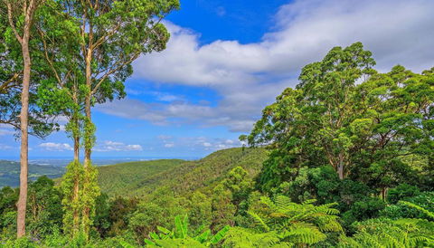 CLOUD 9 - Cliff Top Eagle Heights - Accommodation VIC 3