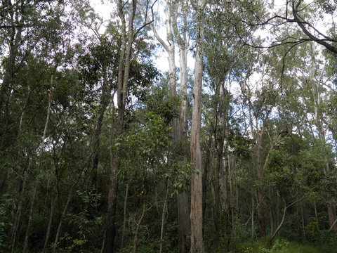 Coucals Cottage - Accommodation VIC 3