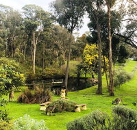 Countryside Retreat Intimate Studio Hepburn - Daylesford - Accommodation VIC