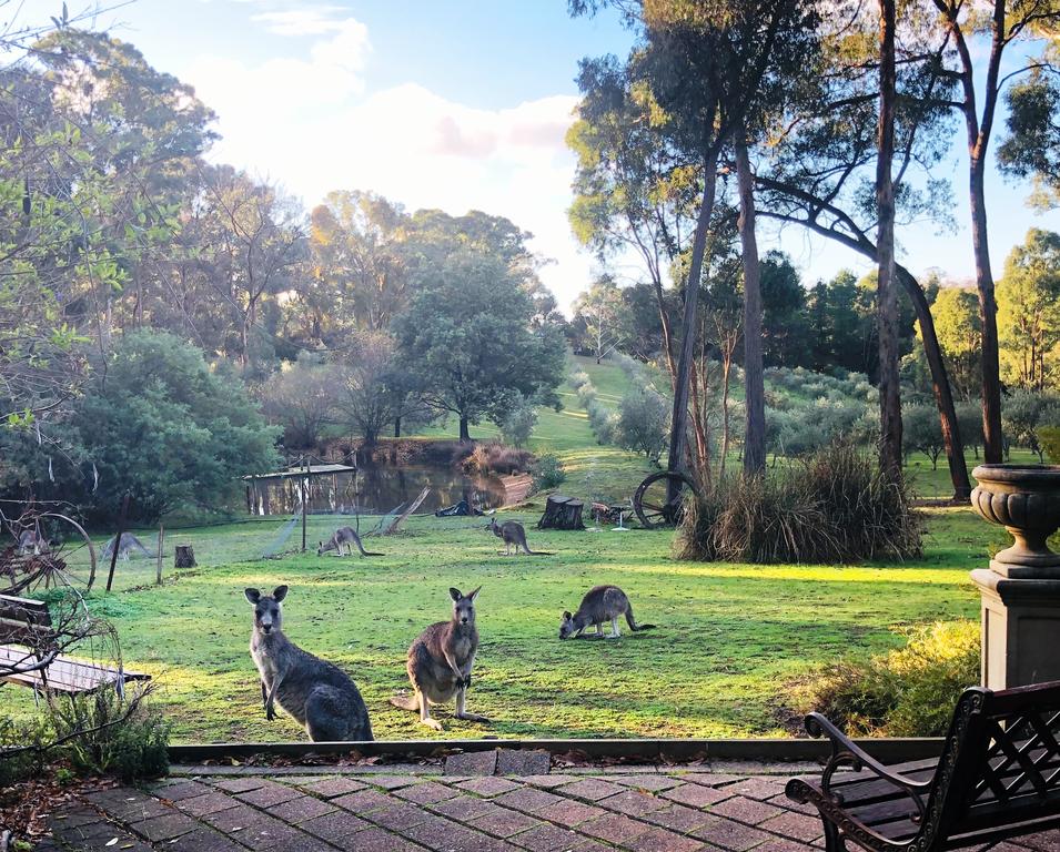 Hepburn VIC Accommodation VIC