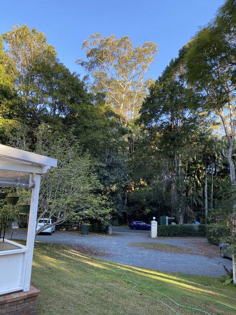 Curtis Falls Studio-Apartment - Accommodation VIC 3