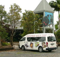 Daintree Wild Bed  Breakfast - Accommodation VIC