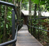 Daintree Wilderness Lodge - Accommodation VIC