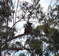 Escape to the Country - Enjoy the firepit or explore magical Bunya Mountains - Accommodation VIC