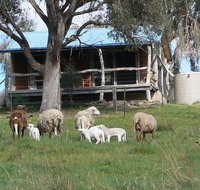 Gaddleen Grove Cottages - Accommodation VIC