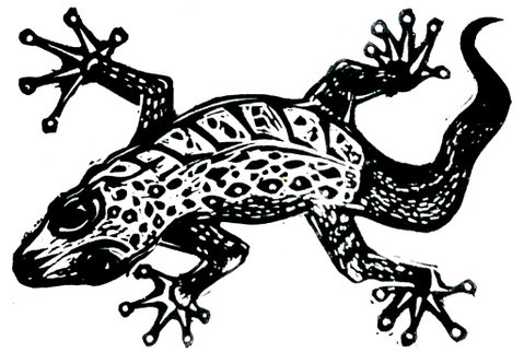Gecko Guest House - Accommodation VIC 3