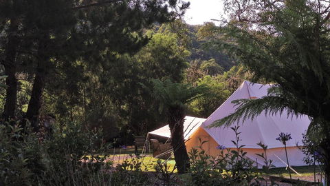 Glamping At Zeehan Bush Camp - Accommodation VIC 0