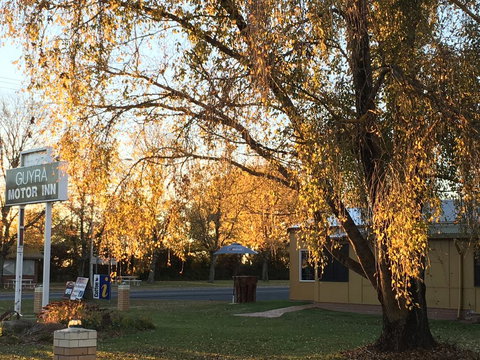 Guyra Motor Inn - Accommodation VIC 2