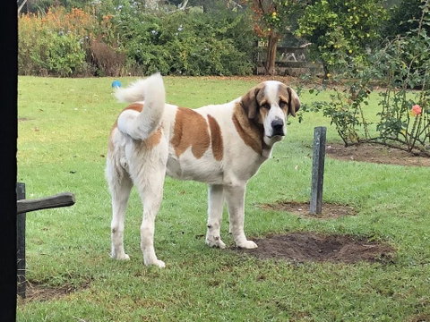 Gzone Farmstay - Accommodation VIC 1