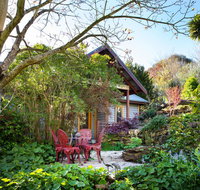 Hills End Camellia - Accommodation VIC