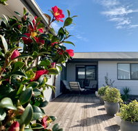 Homely Getaways in Surf Beach - Pet Friendly - Accommodation VIC