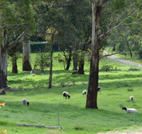 JAN'S ART STUDIO AT ASHBY RISE - Accommodation VIC