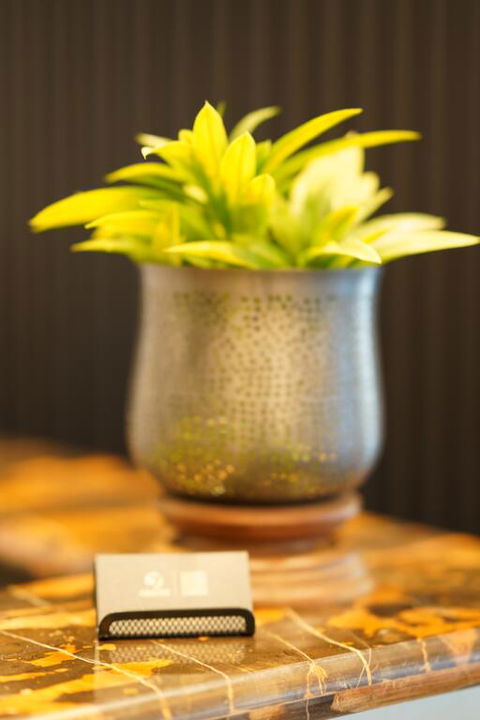 Jephson Hotel & Apartments - Accommodation VIC 3