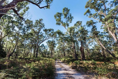 Jetty Views - Water Views On Raymond Island - Accommodation VIC 1