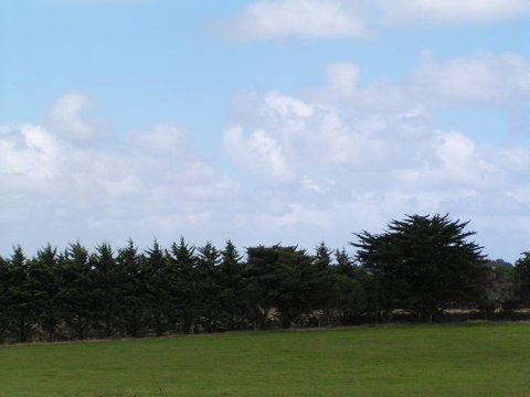 Karingal Homestead B&B - Accommodation VIC 0