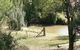Kellys Motel Oakey - thumb 1