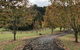 King Ludwigs Cottage - thumb 1