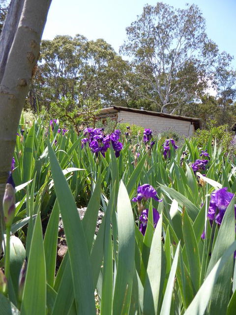 Lakeside Lodge Armidale - Accommodation VIC 3