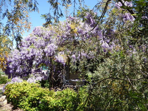 Lakeside Lodge Armidale - Accommodation VIC 1